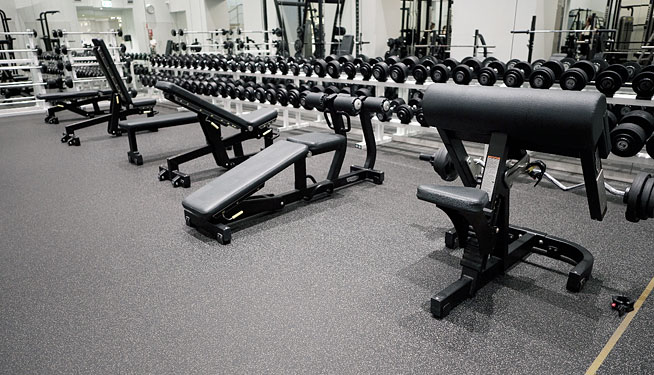 Premier Health and Fitness CBD Free Weights Room